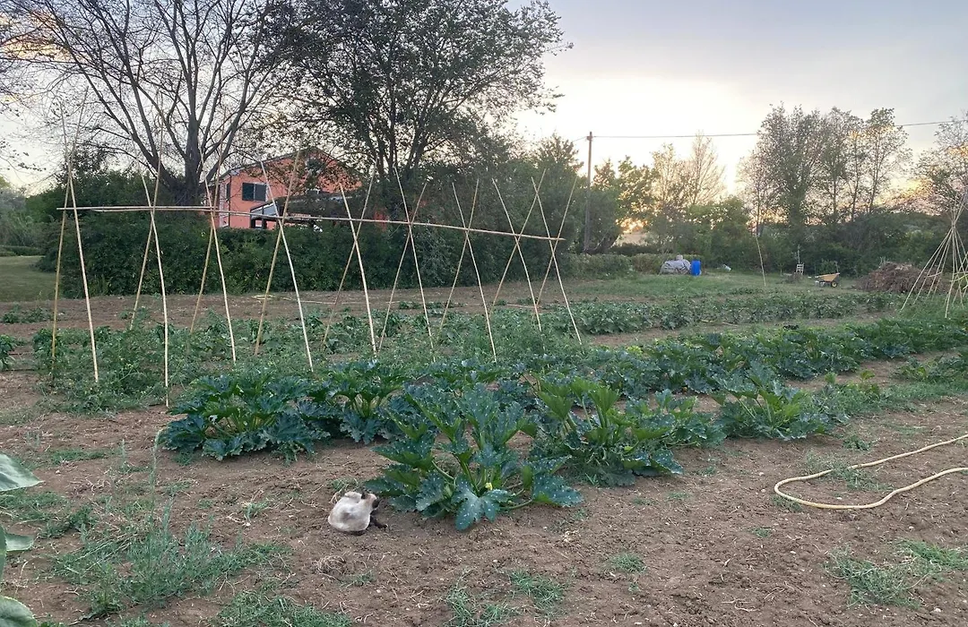 Agriturismo Rossococomero colazione inclusa e Offerta PROMO LUGLIO!-1